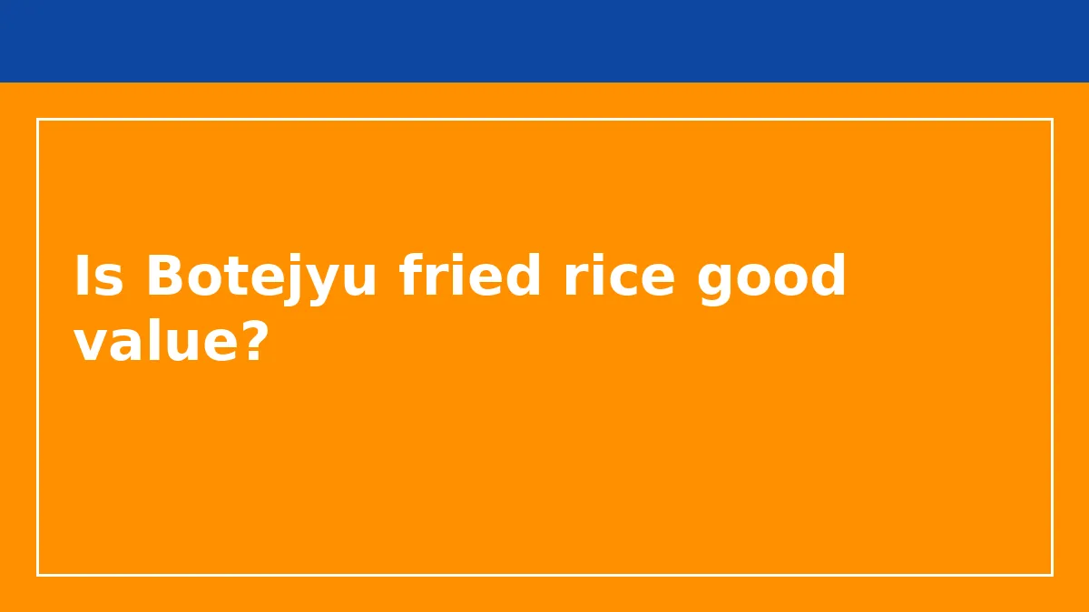 Is Botejyu fried rice good value?